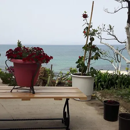 Διαμέρισμα George's Sea View Μεσογγή